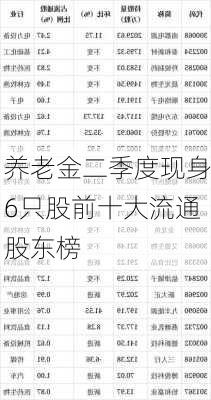 养老金二季度现身6只股前十大流通股东榜