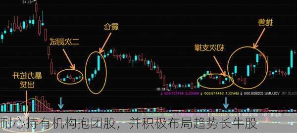 耐心持有机构抱团股，并积极布局趋势长牛股