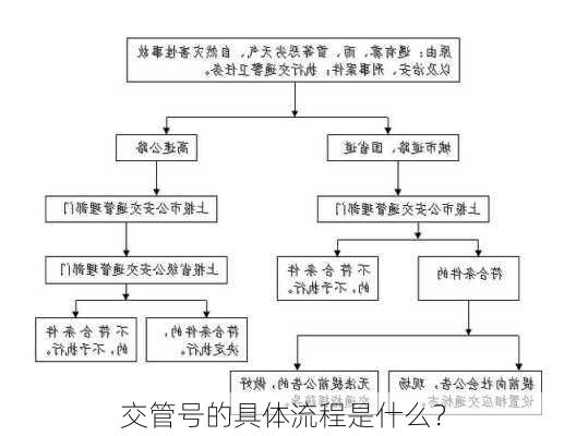 交管号的具体流程是什么？