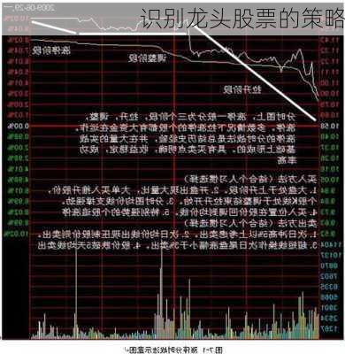 识别龙头股票的策略