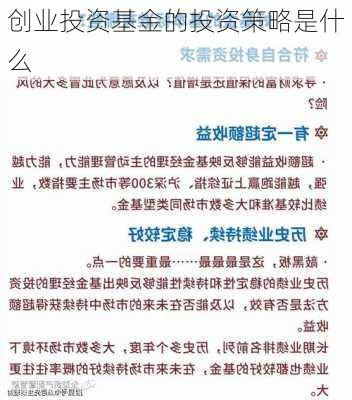 创业投资基金的投资策略是什么