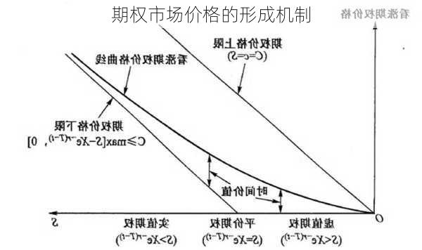 期权市场价格的形成机制