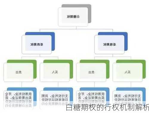 白糖期权的行权机制解析