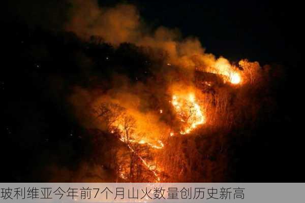 玻利维亚今年前7个月山火数量创历史新高