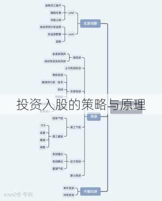 投资入股的策略与原理