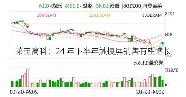 莱宝高科：24 年下半年触摸屏销售有望增长