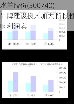 水羊股份(300740)：品牌建设投入加大 阶段性影响利润实