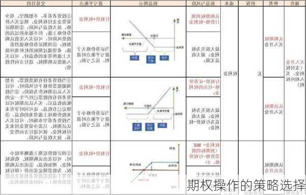 期权操作的策略选择