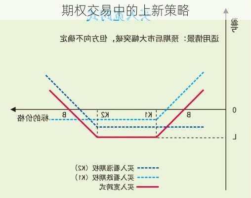 期权交易中的上新策略