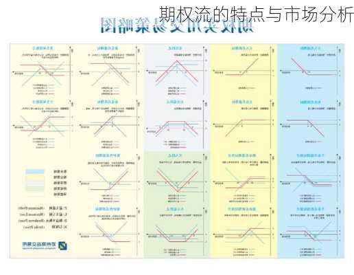 期权流的特点与市场分析