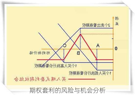 期权套利的风险与机会分析