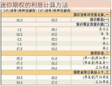 迷你期权的利息计算方法