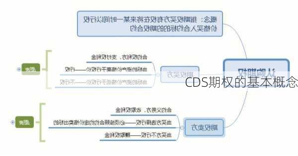 CDS期权的基本概念