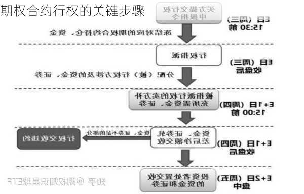 期权合约行权的关键步骤