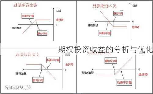 期权投资收益的分析与优化