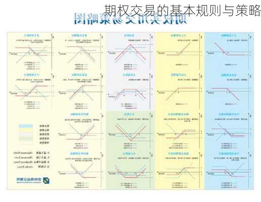 期权交易的基本规则与策略