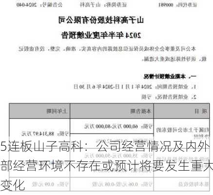 5连板山子高科：公司经营情况及内外部经营环境不存在或预计将要发生重大变化