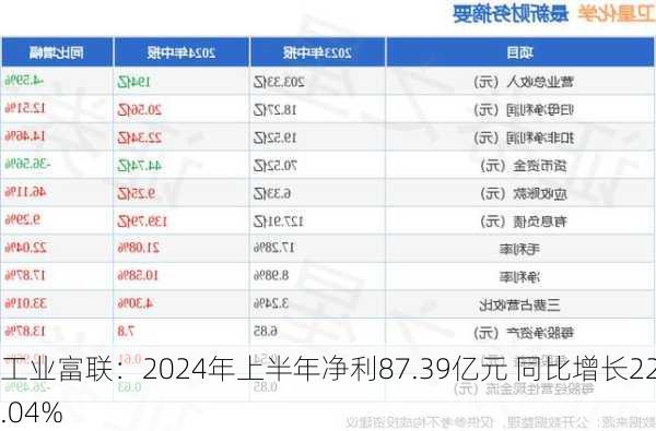 工业富联：2024年上半年净利87.39亿元 同比增长22.04%