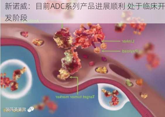 新诺威：目前ADC系列产品进展顺利 处于临床开发阶段