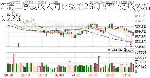 辉瑞二季度收入同比微增2% 肿瘤业务收入增长22%