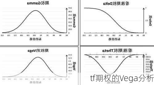 tf期权的Vega分析