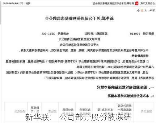 新华联： 公司部分股份被冻结