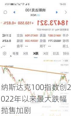 纳斯达克100指数创2022年以来最大跌幅 抛售加剧