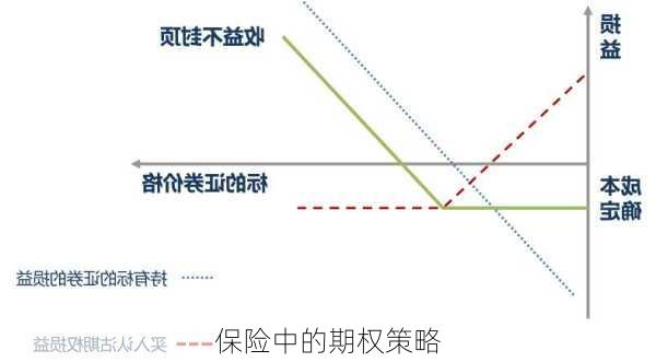 保险中的期权策略