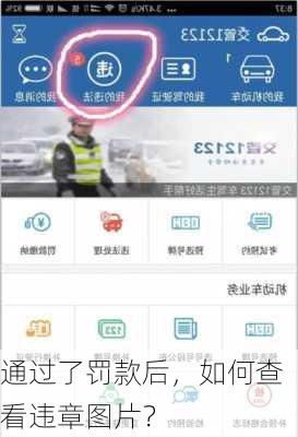 通过了罚款后，如何查看违章图片？