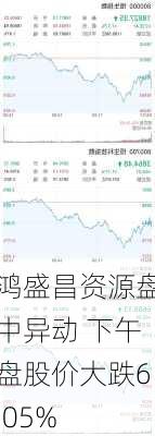 鸿盛昌资源盘中异动 下午盘股价大跌6.05%