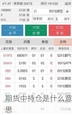 期货中持仓是什么意思