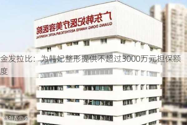 金发拉比：为韩妃整形提供不超过3000万元担保额度