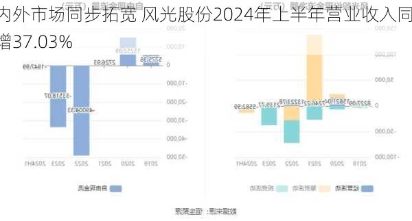 海内外市场同步拓宽 风光股份2024年上半年营业收入同比增37.03%