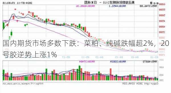 国内期货市场多数下跌：菜粕、纯碱跌幅超2%，20号胶逆势上涨1%