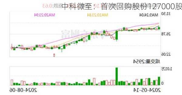 中科微至：首次回购股份127000股