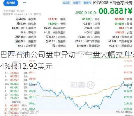 巴西石油公司盘中异动 下午盘大幅拉升5.04%报12.92美元