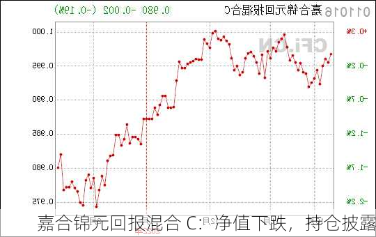 嘉合锦元回报混合 C：净值下跌，持仓披露