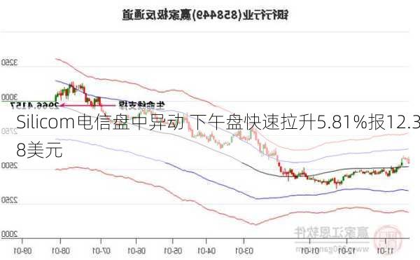 Silicom电信盘中异动 下午盘快速拉升5.81%报12.38美元