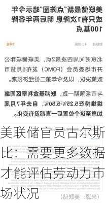 美联储官员古尔斯比：需要更多数据才能评估劳动力市场状况