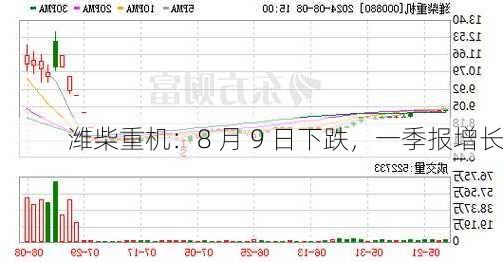 潍柴重机：8 月 9 日下跌，一季报增长