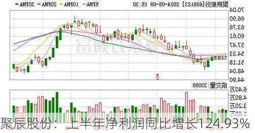 聚辰股份：上半年净利润同比增长124.93%