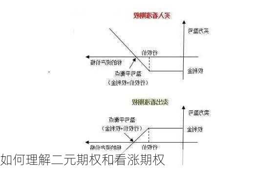 如何理解二元期权和看涨期权