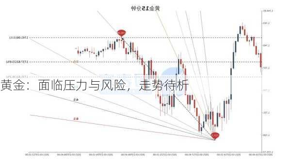 黄金：面临压力与风险，走势待析