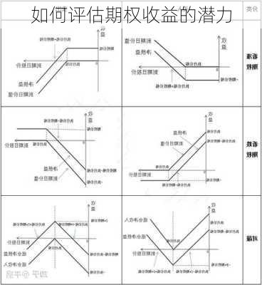 如何评估期权收益的潜力