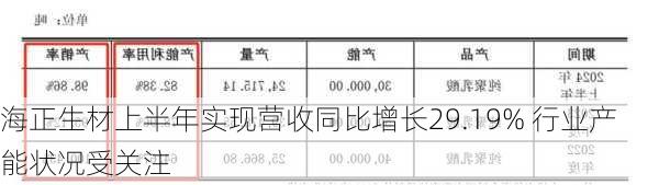 海正生材上半年实现营收同比增长29.19% 行业产能状况受关注