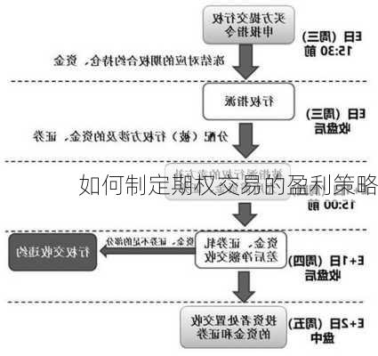 如何制定期权交易的盈利策略