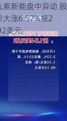 九紫新能盘中异动 股价大涨6.57%报2.92美元