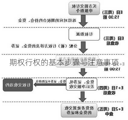 期权行权的基本步骤与注意事项