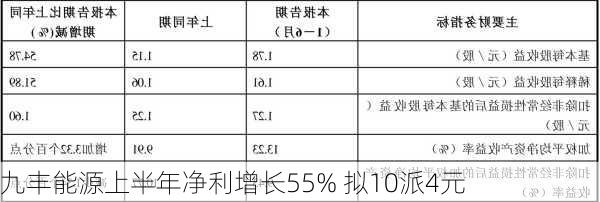 九丰能源上半年净利增长55% 拟10派4元