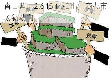 睿古蓝：2.645 亿拍出，商办市场新动向